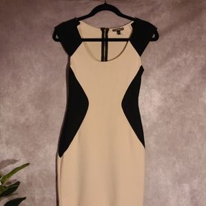Express Dress/ cocktail or Christmas party dress